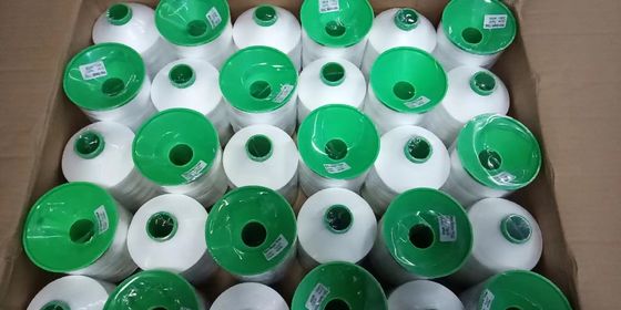 400 g de fil de nylon à haute résistance Tex135 420D/3 fil de couture en cuir de polyester pour marchandises