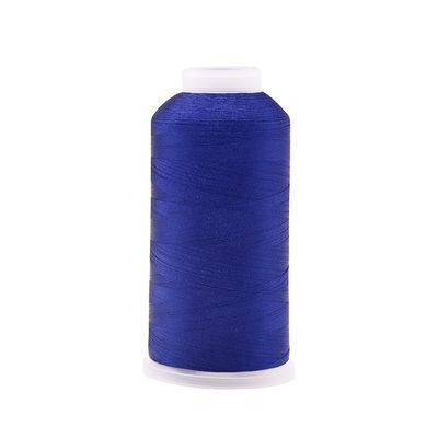 150D/2 100% fil de broderie en polyester pour machine 5000m Poids 160g en couleurs mixtes