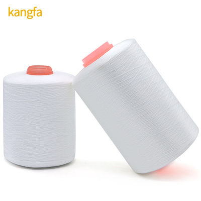 Fils de polyester de haute ténacité blancs 150D/3 1,6 kg adaptés à diverses applications
