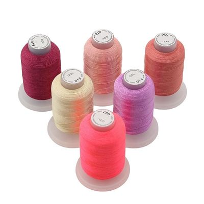 Fil de broderie à la machine 60wt 40wt Polyester multicolore 120d/2 1000m pour la broderie