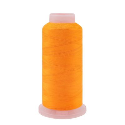 100% fil de nylon pour chaussures en polyester à haute ténacité 100 g poids net cône