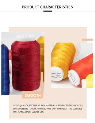 30g 1000Y Filament polyester à broderie multicolore fil 120d/2 pour la machine à broderie