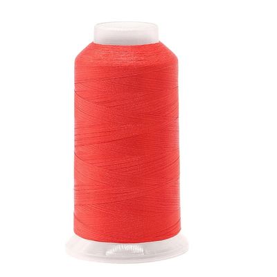 Fil de polyester personnalisable pour la broderie à grande vitesse