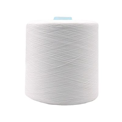 100% de fil de polyester échantillon gratuit sans fret et support OEM/ODM