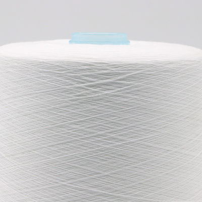 100% de fil de polyester échantillon gratuit sans fret et support OEM/ODM