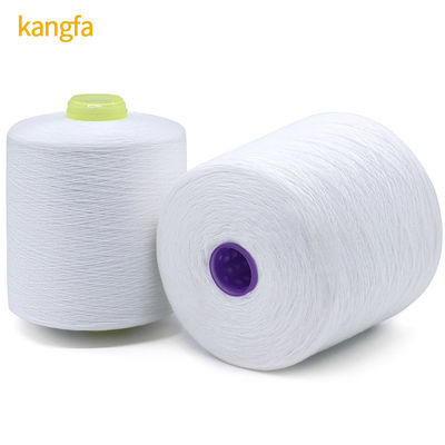 Blanc 1,25 kg 40/2 20/3 30/3 100% fil de polyester coulé pour OEM dans le motif blanc brut