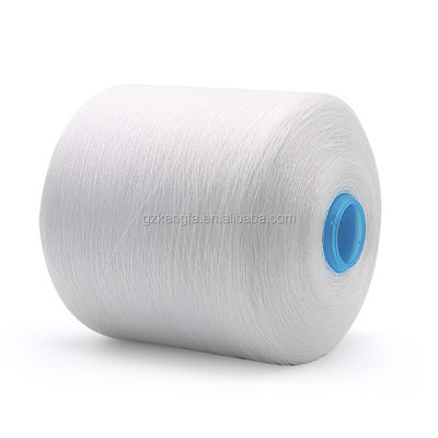 Blanc 1,25 kg 40/2 20/3 30/3 100% fil de polyester coulé pour OEM dans le motif blanc brut