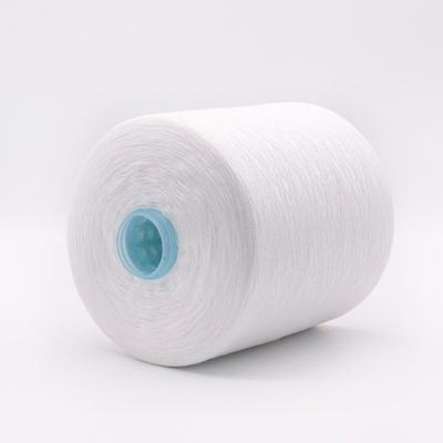 Blanc 1,25 kg 40/2 20/3 30/3 100% fil de polyester coulé pour OEM dans le motif blanc brut