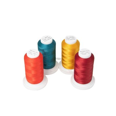 Polyester / viscose 120d/2 fil multicolore pour la machine à broderie échantillon envoyer 30g