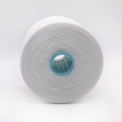 OEM 40/2 20/3 30/3 100% fil de polyester cousu avec résistance chimique et motif blanc brut