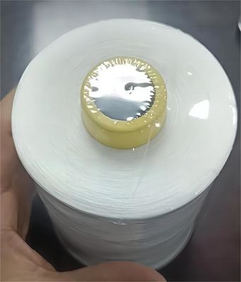 Machine à coudre informatisée 40/2 à fil de couture en polyester coulé avec échantillon gratuit