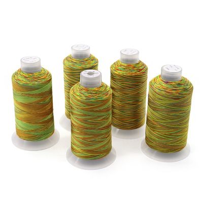 Fil de couture arc-en-ciel 100% polyester cousu pour le point croisé