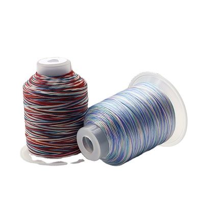 100 g de fil de broderie multicolore varié 1000 mètres pour les projets de tricot à la main