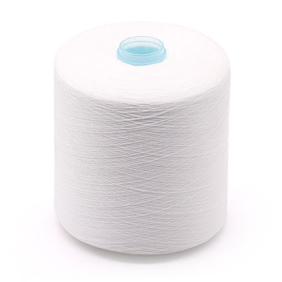 100% fil de polyester de l'OEM 20/2 30/2 40/2 50/3 pour 100 à 500 g