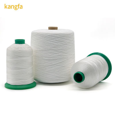 Fils de polyester teintés en 340 couleurs pour les projets de tricotage et de tissage de vêtements