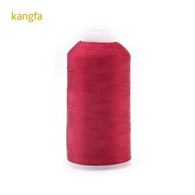120g Poids net 120D/2 Haute résistance à la couleur Résistance au broderie en polyester Fil pour spot