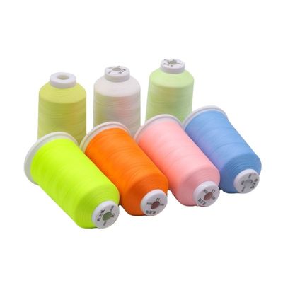 120D/2 150D/2 300D/2 Fil de broderie changeant de couleur en polyester pour la broderie à la machine