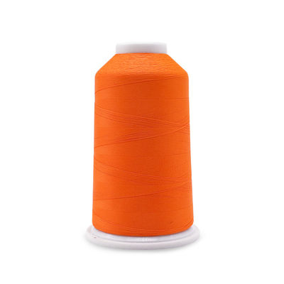 120D/2 150D/2 300D/2 Fil de broderie changeant de couleur en polyester pour la broderie à la machine
